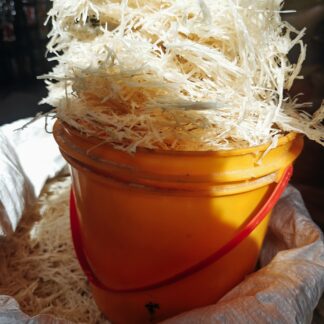 Abacha