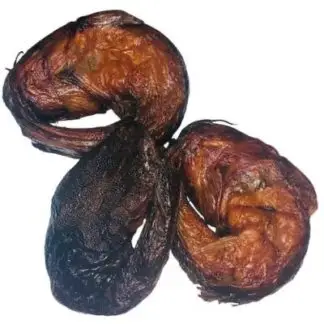 Dried Fish (Catfish) Big Size