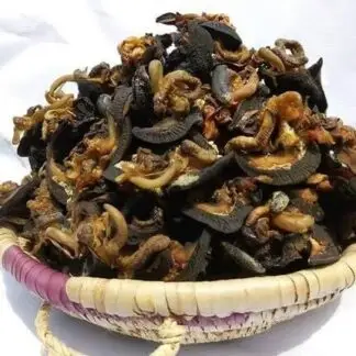 Well washed & Dried Snails